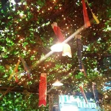 Tổng hợp- Ăn vặt Cá Viên Chiên - Lương Hữu Khánh