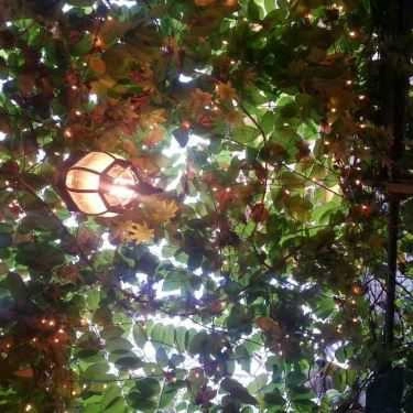 Tổng hợp- Ăn vặt Cá Viên Chiên - Lương Hữu Khánh