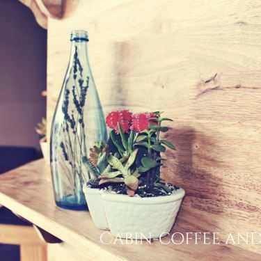 Tổng hợp- Cabin - Coffee And More