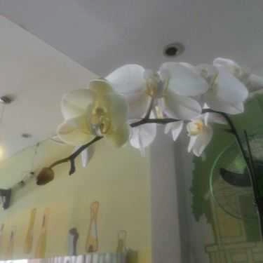 Không gian- 79 Cafe