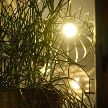 Tổng hợp- Blooming Cafe