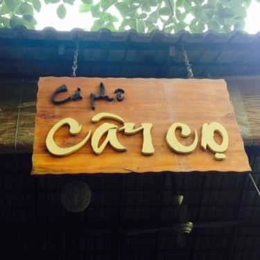 Tổng hợp- Cây Cọ Cafe