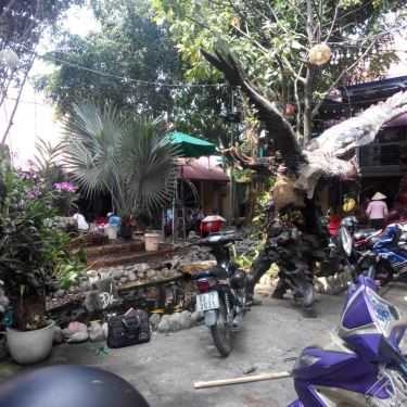 Tổng hợp- Đá Cafe - Đường Số 16