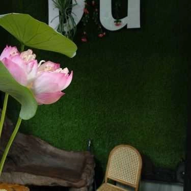 Tổng hợp- Du Cafe - Đường A