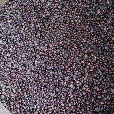 Tổng hợp- Gia Bảo Linh Coffee