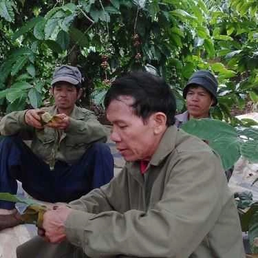 Tổng hợp- Gia Bảo Linh Coffee
