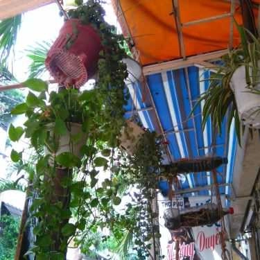 Không gian- Hang Sách Cafe