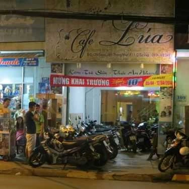 Tổng hợp- Lúa Cafe