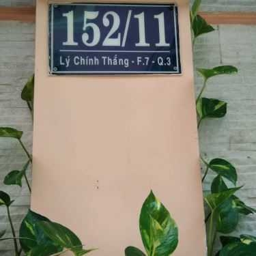 Tổng hợp- Cafe Mang Đi 152