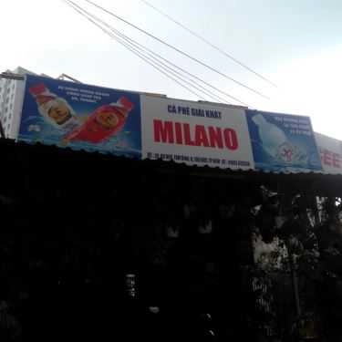 Tổng hợp- Milano Cafe - Gò Dưa