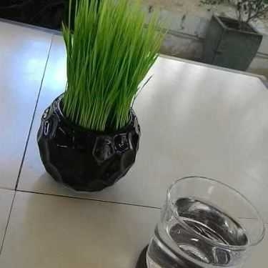 Tổng hợp- The Art Cafe