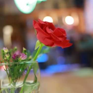 Tổng hợp- Ngõ Acoustic Cafe