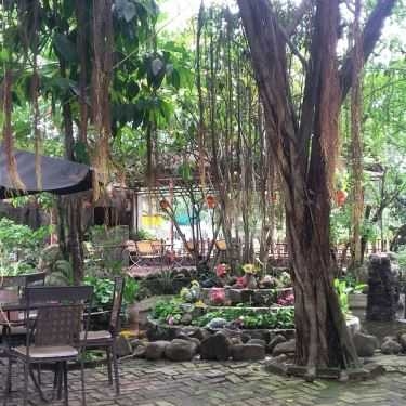 Tổng hợp- Nguyên Sơ Cafe