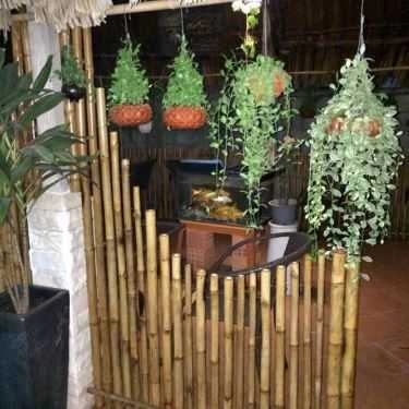 Tổng hợp- Queen Cafe - Hương Lộ 2
