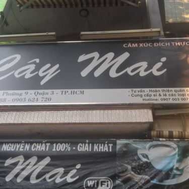 Tổng hợp- Cây Mai Cafe - Rạch Bùng Binh