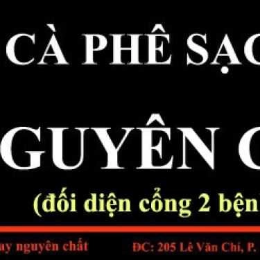 Tổng hợp- Cafe Sạch - Nguyên Chất