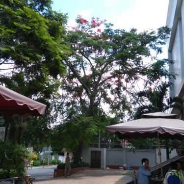 Không gian- 39 Cafe