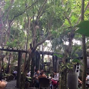 Không gian- Tĩnh Lặng Cafe - Tô Ký