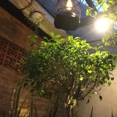 Tổng hợp- Cake Garden Coffee