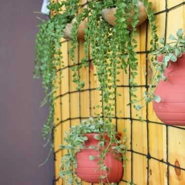 Tổng hợp- Cafe Calzone Food & Drink