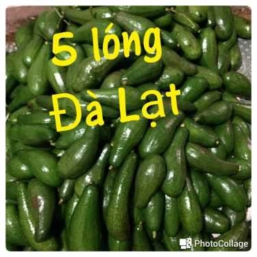 Tổng hợp- Ăn vặt Cantine 3 Chấm - Trà Sữa & Bánh Mì Que