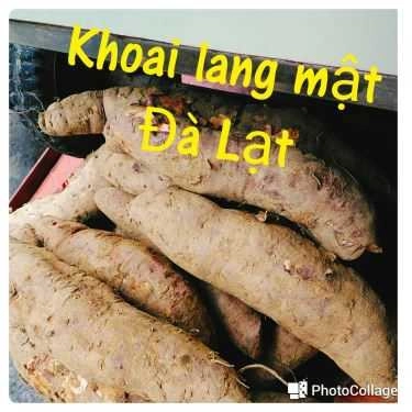 Tổng hợp- Ăn vặt Cantine 3 Chấm - Trà Sữa & Bánh Mì Que