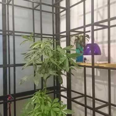 Tổng hợp- Casa Di Bontà - Coffee & More
