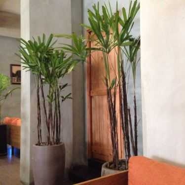 Tổng hợp- Catina Cafe