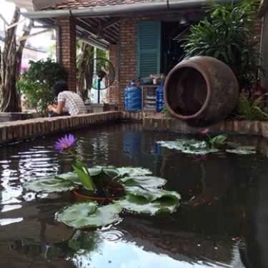 Tổng hợp- Cây Si Cafe - Lê Đức Thọ