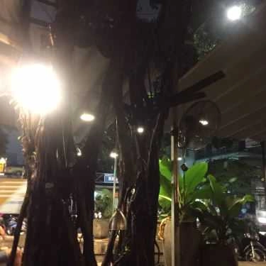 Tổng hợp- Cây Si Cafe - Lê Đức Thọ