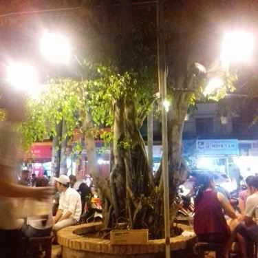 Tổng hợp- Cây Si Cafe - Lê Đức Thọ