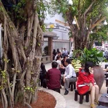 Tổng hợp- Cây Si Cafe - Lê Đức Thọ