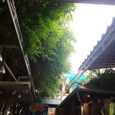 Tổng hợp- Cây Si Cafe - Phạm Văn Đồng