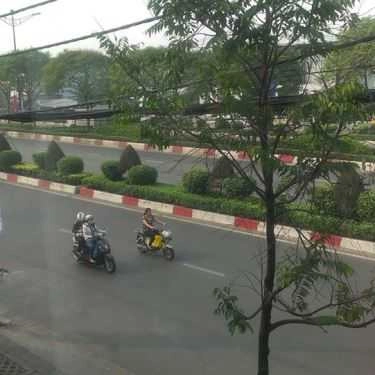 Tổng hợp- Cây Tùng Cafe