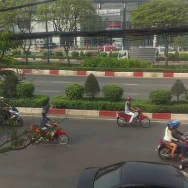 Tổng hợp- Cây Tùng Cafe