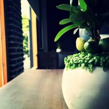 Tổng hợp- Cello Art's Coffee