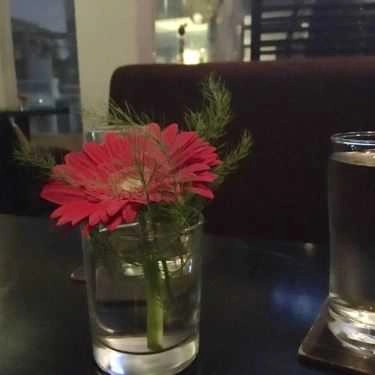 Tổng hợp- Cetana Cafe