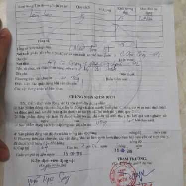 Tổng hợp- Ăn vặt Cháo Lòng Bình Dân - Cô Giang