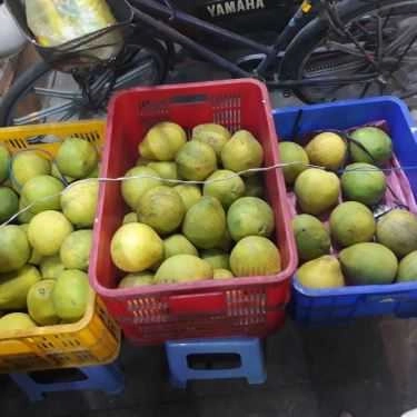 Tổng hợp- Cafe Chè Bưởi & Nước Ép Nguyên Chất