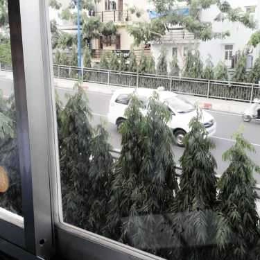 Tổng hợp- Ăn vặt Chè Khúc Bạch Thanh - Chân Cầu Hoàng Hoa Thám