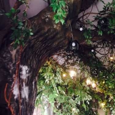 Tổng hợp- 1st. Garden - Cafe & Bistro