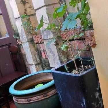 Tổng hợp- 81 Cafe