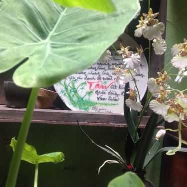 Tổng hợp- Cửa Hàng Cafe 81