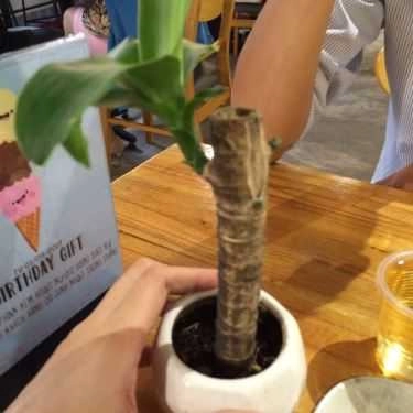 Tổng hợp- Cafe Ajikoi - Ice Cream & Matcha
