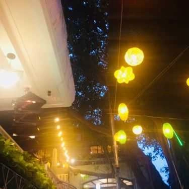 Tổng hợp- Alas - Pets & Garden Coffee