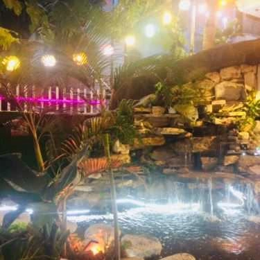 Tổng hợp- Alas - Pets & Garden Coffee