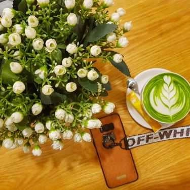 Tổng hợp- Bean Plus Coffee & Tea