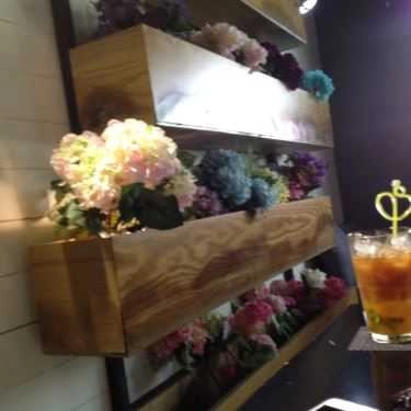 Tổng hợp- Cafe De L'escale