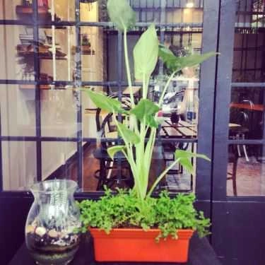 Tổng hợp- Casa Di Bontà - Coffee & More