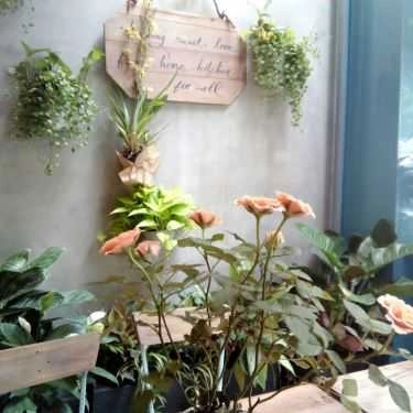 Tổng hợp- Tiệm Bánh Chau Chi Cakes